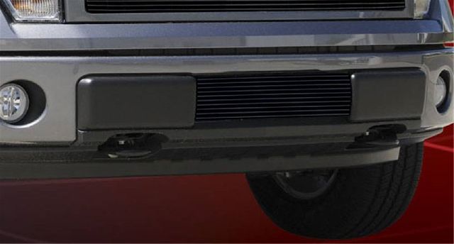 2009-2014 Ford F-150 Bumper Grille Insert (T-Rex)
