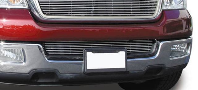 2004-2005 Ford F-150 Bumper Grille Insert (T-Rex)