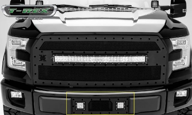 2015-2017 Ford F-150 Grille - Lower (T-Rex)