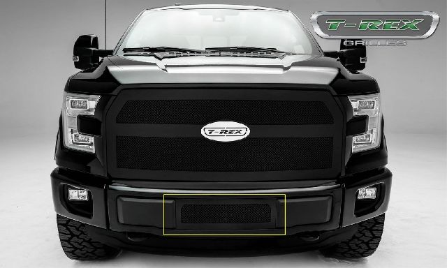 2015-2017 Ford F-150 Bumper Grille Insert (T-Rex)