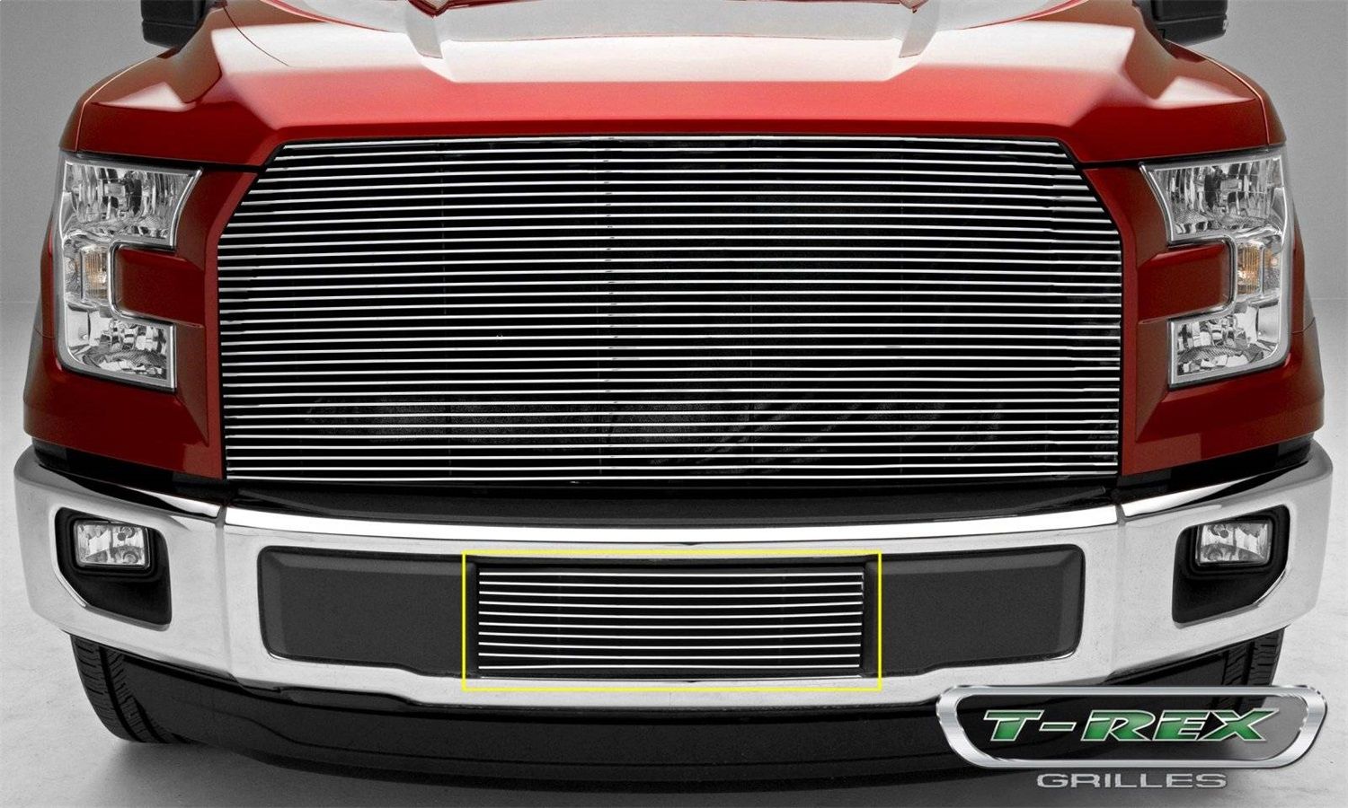 2017, 2016, 2015 Ford F-150 Bumper Grille Insert
