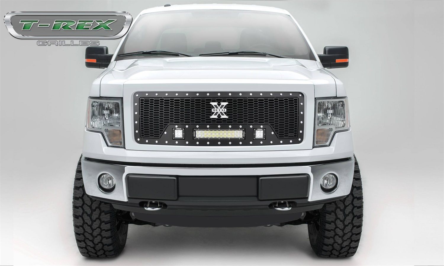 2012, 2011, 2010, 2009 Ford F-150 Grille