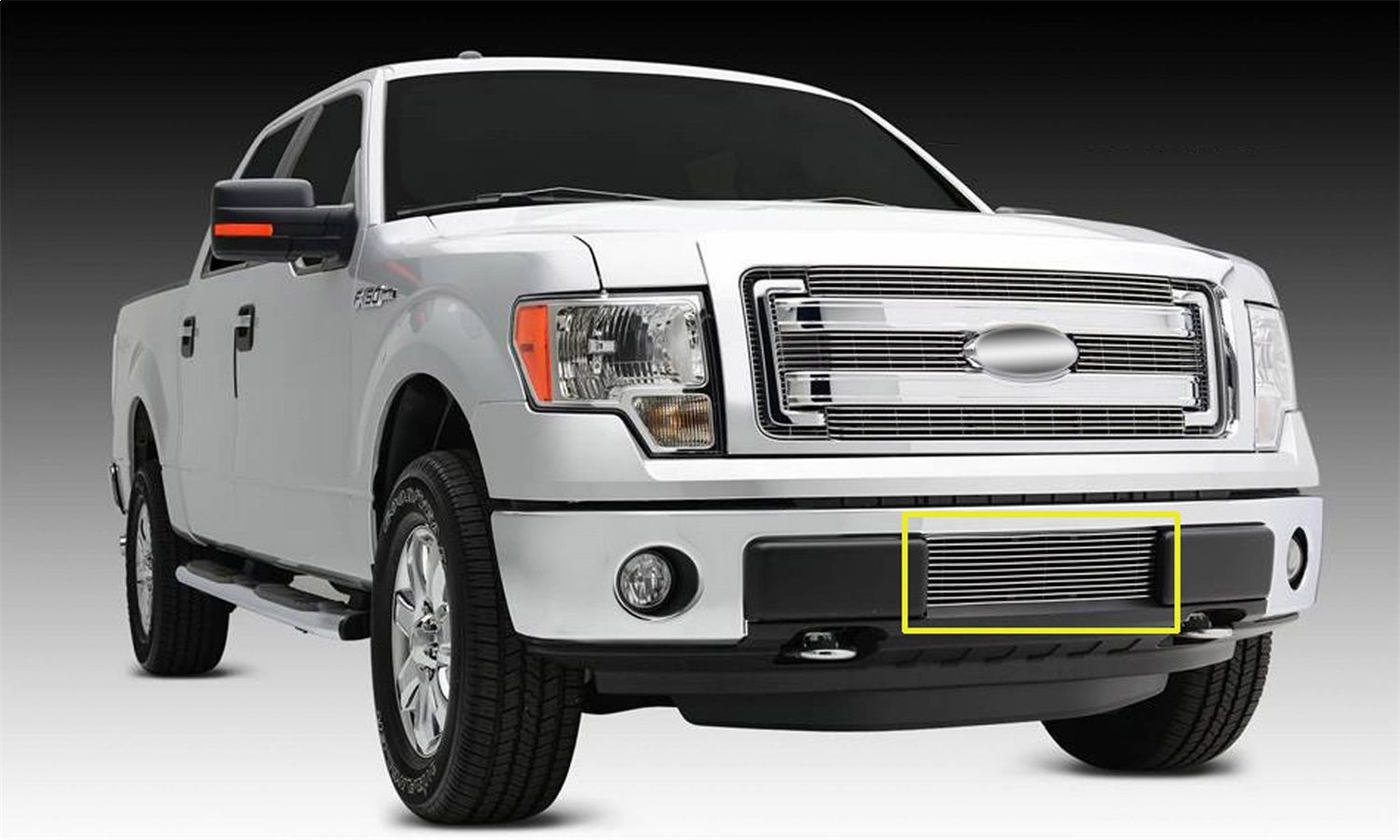 2014, 2013, 2012, 2011, 2010, 2009 Ford F-150 Bumper Grille Insert