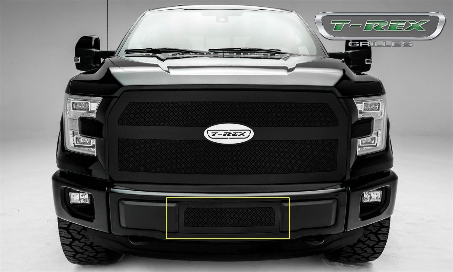 2017, 2016, 2015 Ford F-150 Bumper Grille Insert