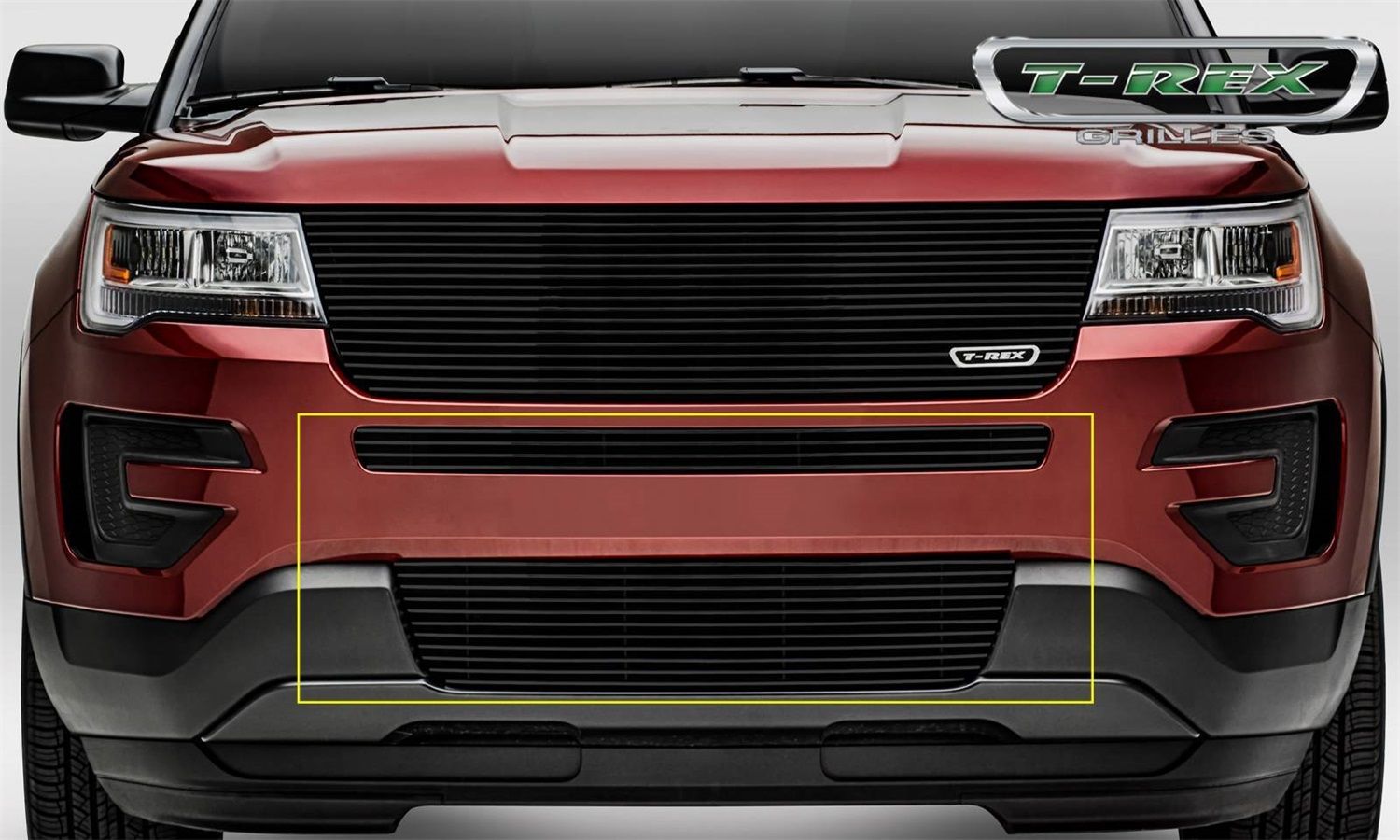 2017, 2016 Ford Explorer Bumper Grille Insert