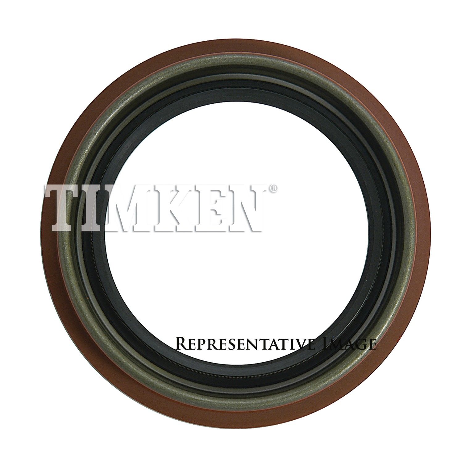 View 4