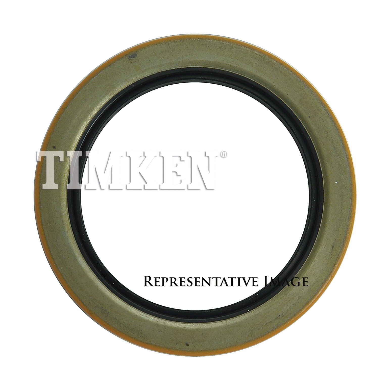 View 4