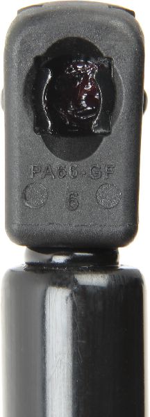 2000-2004 Toyota Avalon Hood Lift Support (Tuff Support)