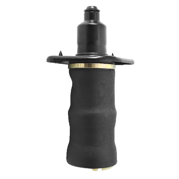 2001-2004 Audi A6 Air Suspension Spring - Rear Right (Unity)