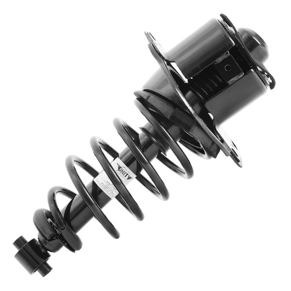 2008-2009 Ford Taurus Suspension Strut and Coil Spring Assembly - Rear Left (Unity)