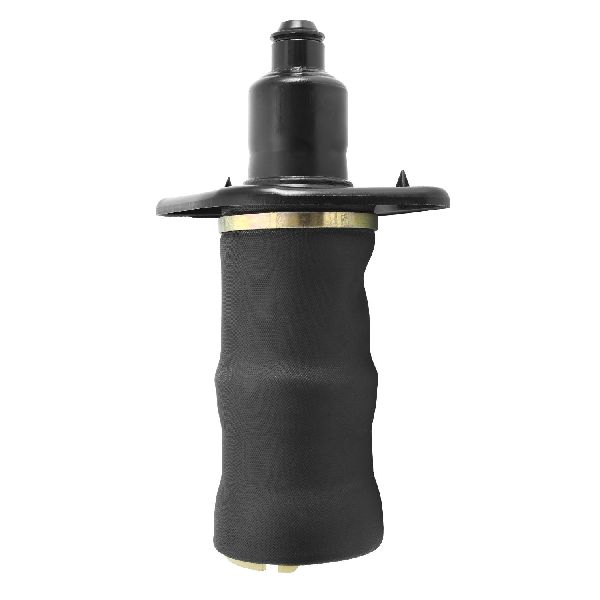 2001-2004 Audi A6 Air Suspension Spring - Rear Left (Unity)