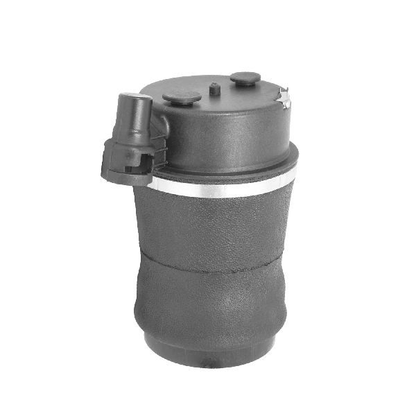 1993-1998 Lincoln Mark VIII Air Suspension Spring - Rear (Unity)