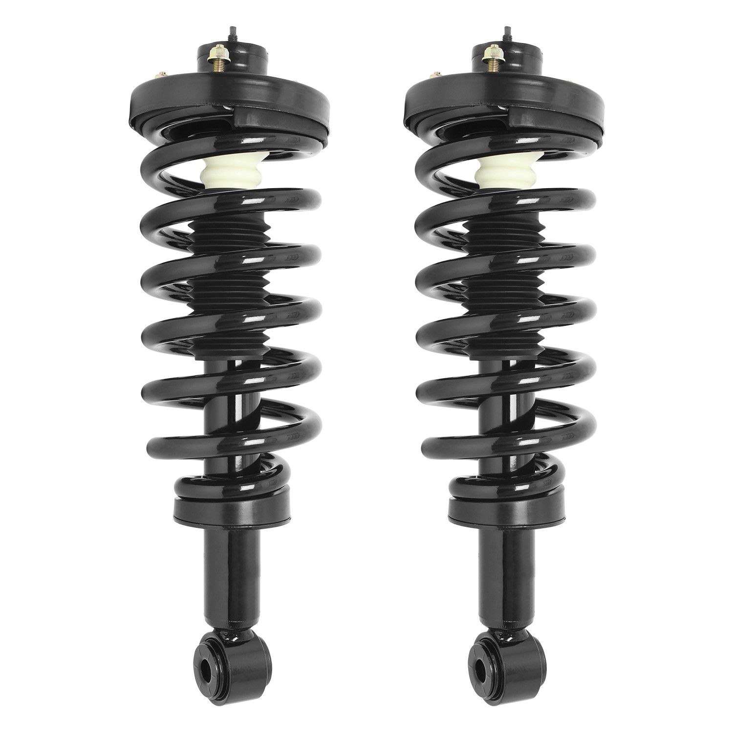 2006, 2005, 2004, 2003 Ford Expedition Air Spring to Coil Spring Conversion Kit