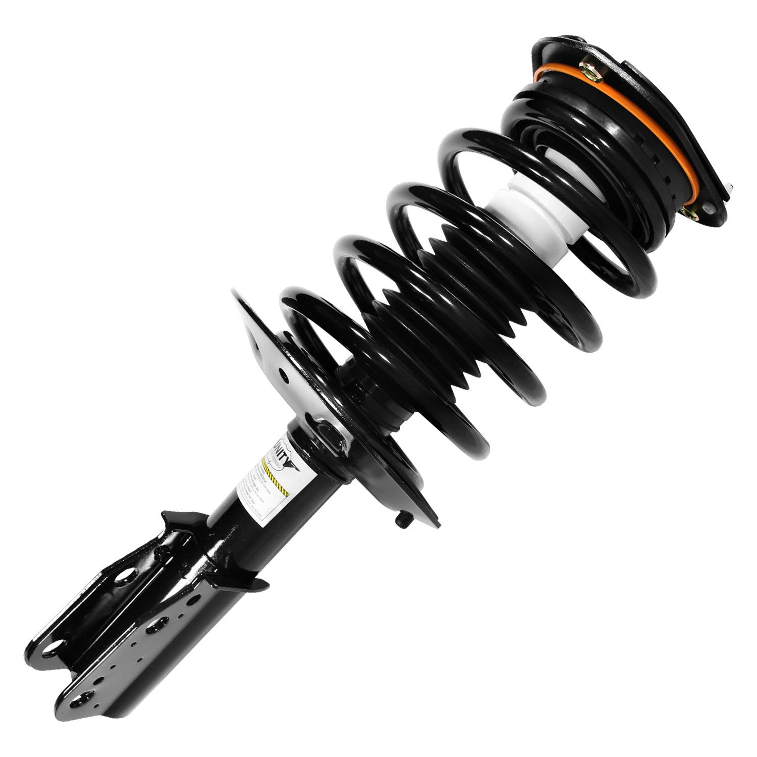 Suspension Strut and Coil Spring Assembly