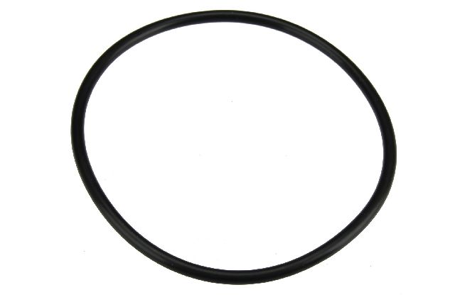 2005-2017 Chevrolet Equinox Fuel Pump Tank Seal (URO Parts)