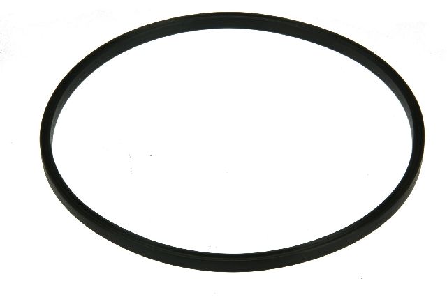 2004-2018 Nissan Altima Fuel Pump Seal (URO Parts)