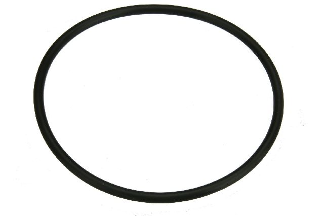 2015-2020 BMW M4 Fuel Pump O-Ring (URO Parts)