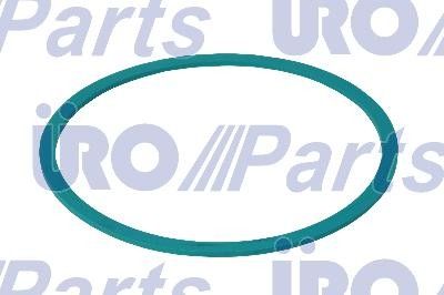 2009 Jaguar XF Fuel Tank Sending Unit Gasket (URO Parts)