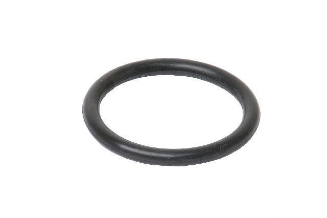 2004-2005 BMW 545i Engine Water Pump O-Ring (URO Parts)