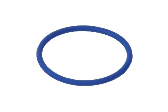 2009-2014 Audi A6 Fuel Pump O-Ring (URO Parts)