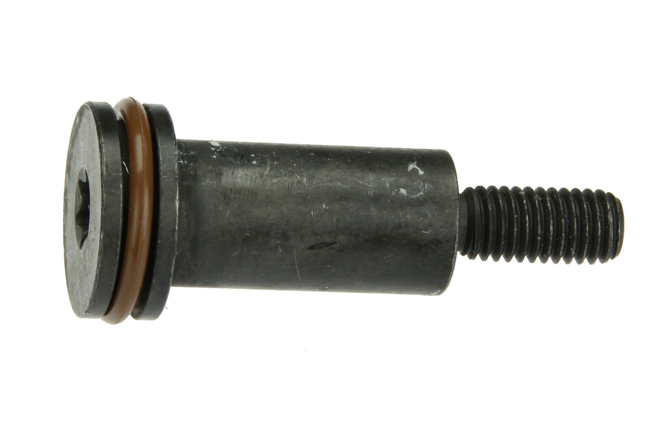2015, 2014, 2013, 2012, 2011, 2010, 2009, 2008, 2007 Mini Cooper Engine Timing Chain Guide Bolt