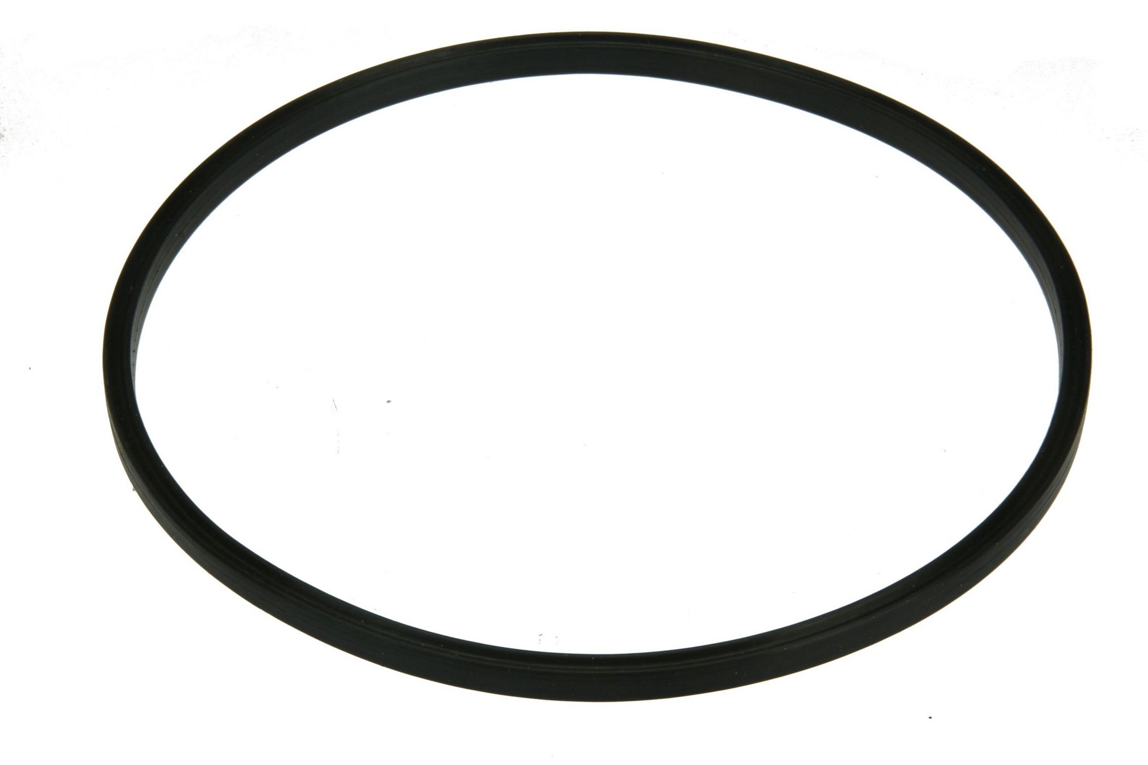 Fuel Pump Seal