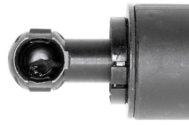 2004-2010 Volkswagen Touareg Tailgate Lift Support -  or Right (Vaico)