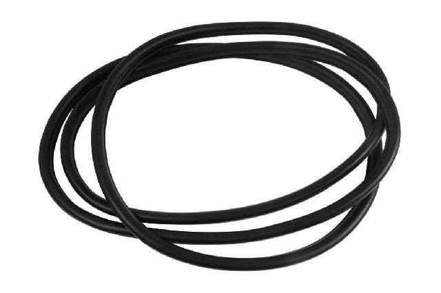 2001-2005 BMW 320i Door Window Seal - Front Right (Vaico)