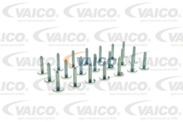 2004-2005 BMW 545i Screw Set (Vaico)