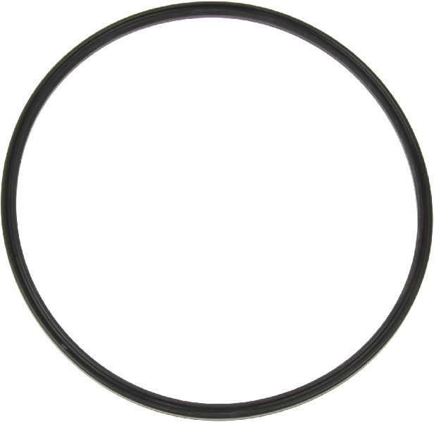 2008-2017 Audi S5 Fuel Pump Tank Seal (Vaico)
