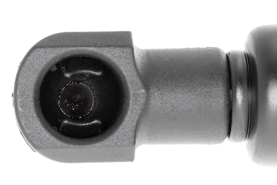 2006, 2005, 2004, 2003, 2002, 2001 BMW 325Ci Hood Lift Support