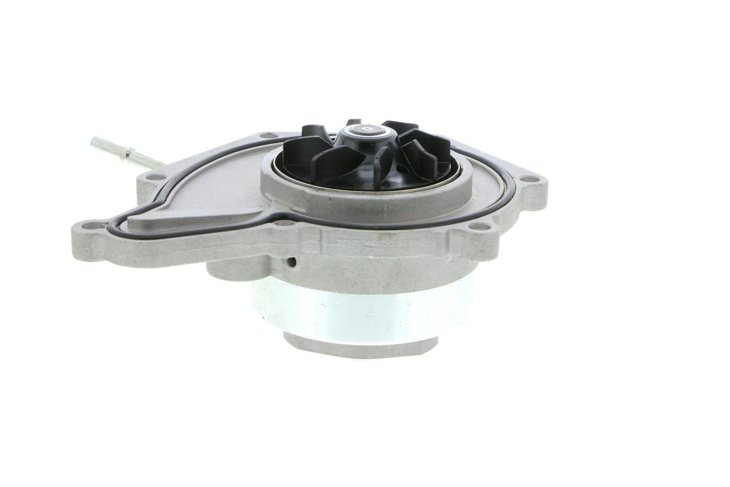 Engine Water Pump