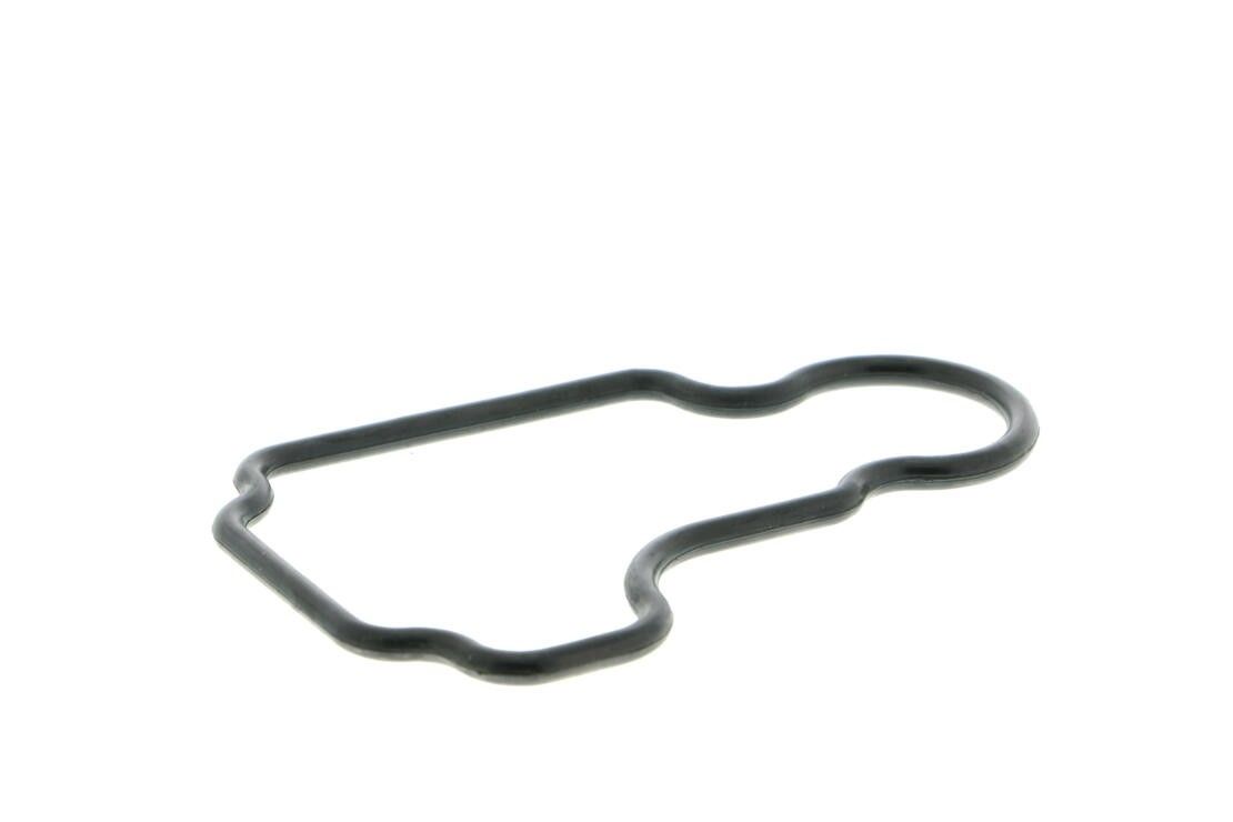 Engine Crankcase Vent Valve
