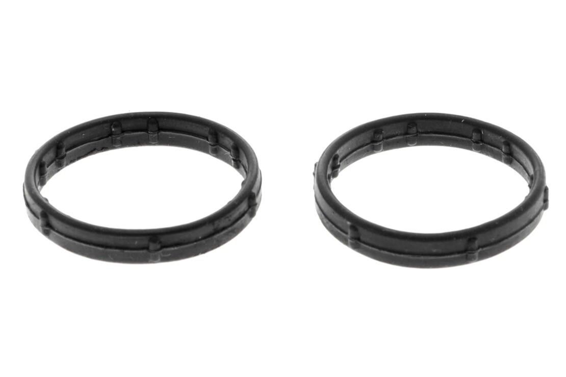2011, 2010 Audi S5 Engine Coolant Pipe