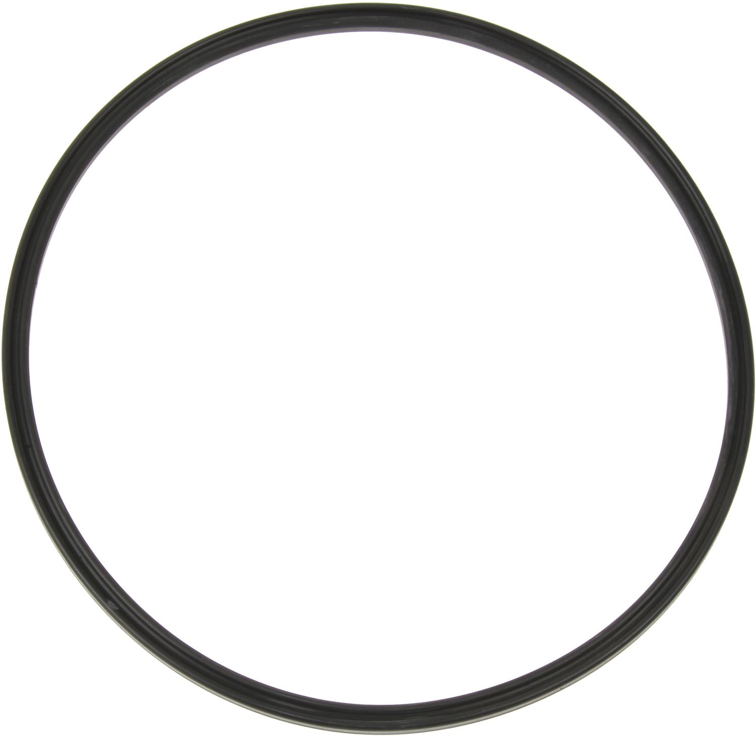 2017, 2016, 2015, 2014, 2013, 2012, 2011, 2010, 2009, 2008 Audi S5 Fuel Pump Tank Seal