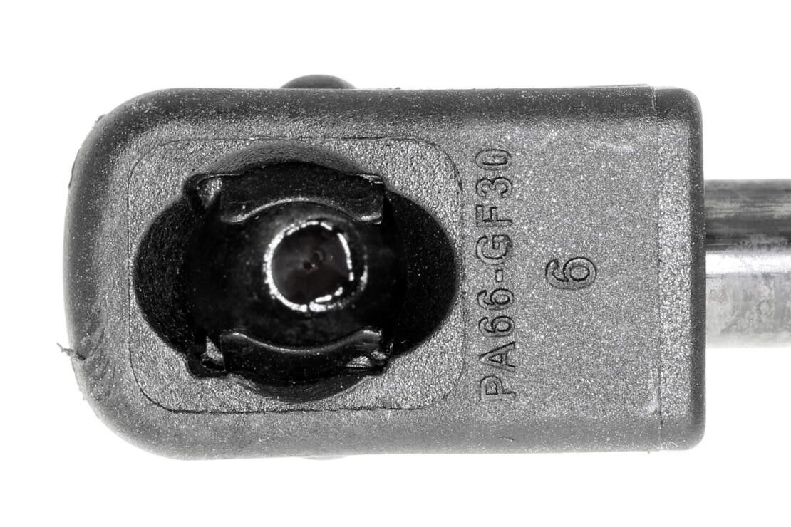 2008, 2007, 2006, 2005, 2004, 2003, 2002 Mini Cooper Liftgate Lift Support