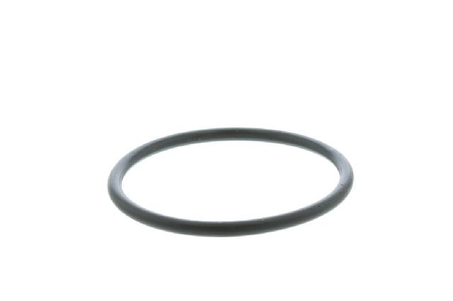 2002-2003 Audi S6 Engine Coolant Thermostat (Vemo)