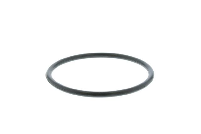 2004-2006 Porsche Cayenne Engine Coolant Thermostat (Vemo)