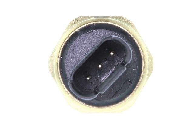 2008-2010 BMW X6 Fuel Pressure Sensor (Vemo)