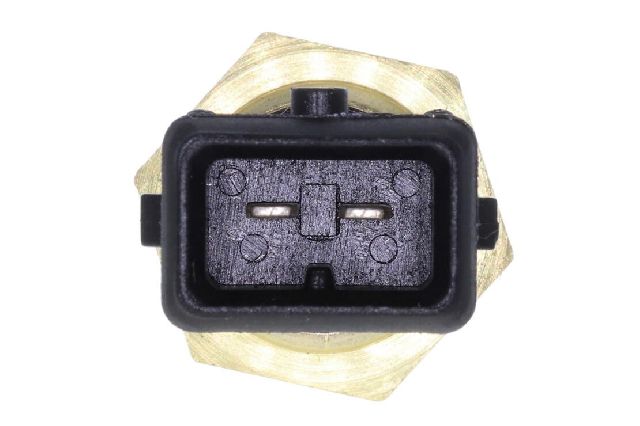 1993-1999 Volkswagen Golf Air Charge Temperature Sensor (Vemo)