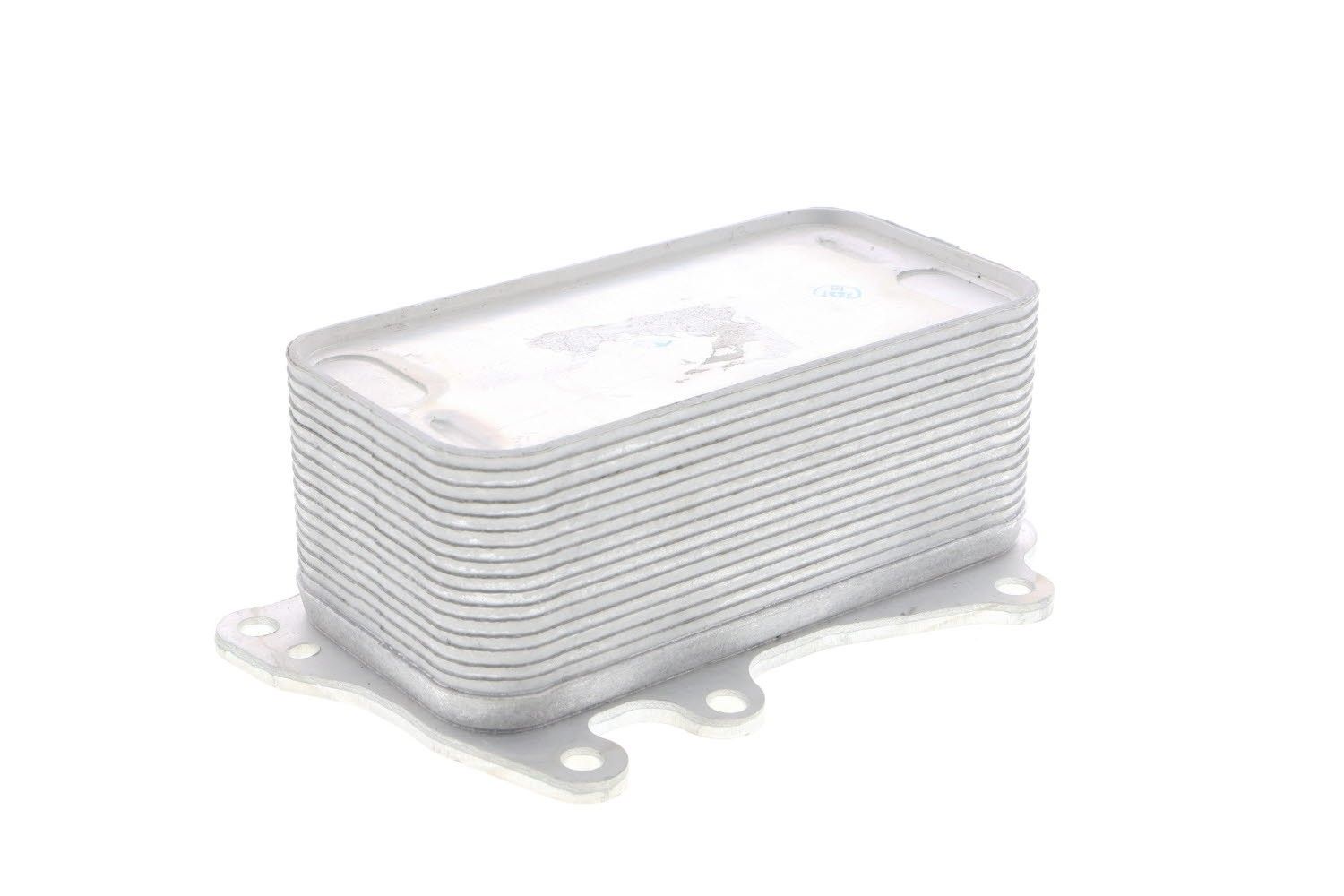 Engine Oil Cooler