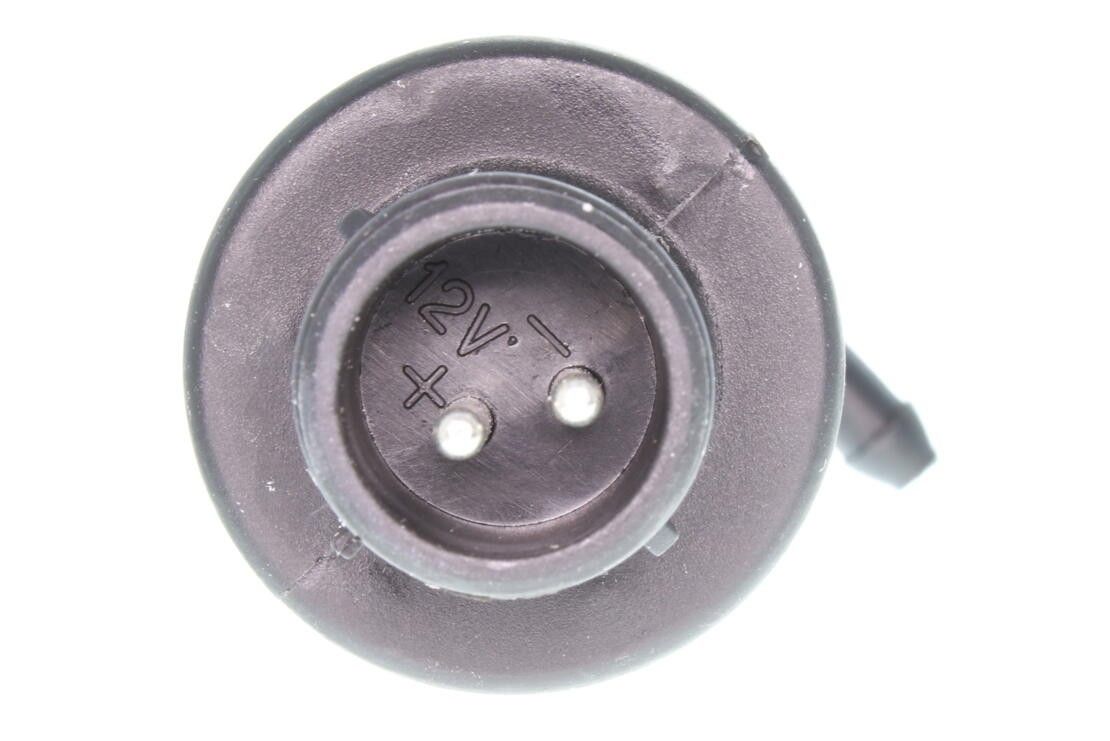 Windshield Washer Pump