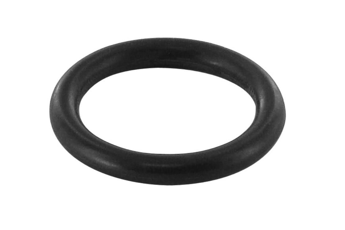 2013, 2012, 2011, 2010, 2009, 2008 Audi S5 Engine Coolant Temperature Sensor O-Ring