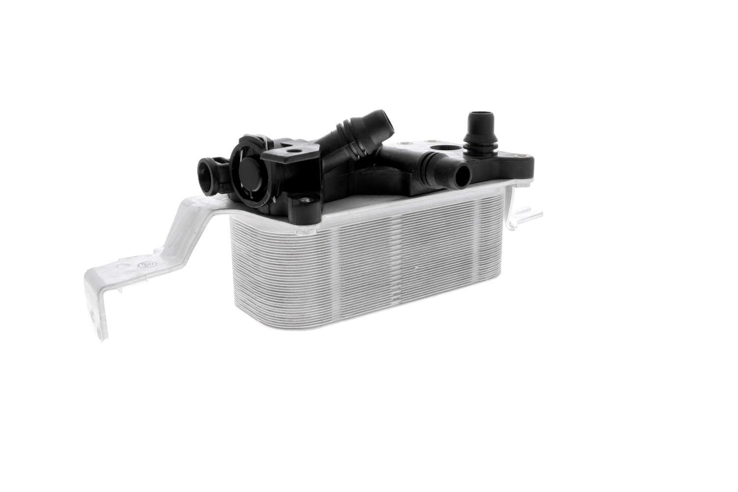 Engine Oil Cooler