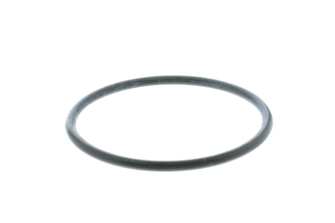 Engine Coolant Thermostat