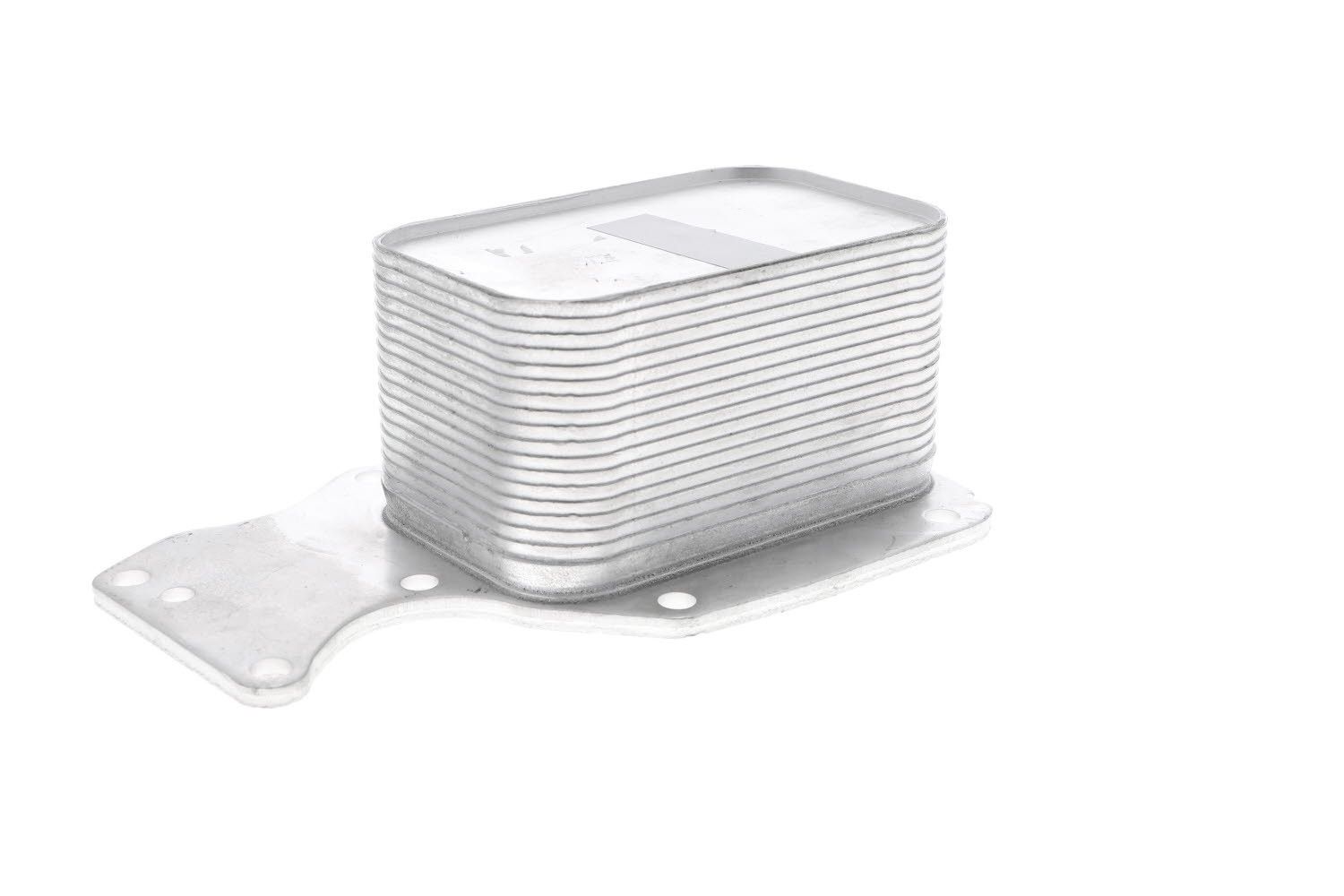 Engine Oil Cooler