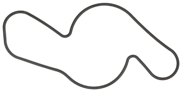 1993-1997 Ford Probe Engine Water Pump Gasket (Victor Gaskets)