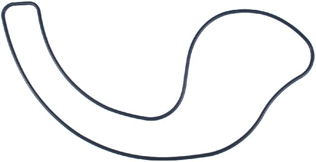 1996-2004 Acura RL Engine Water Pump Gasket (Victor Gaskets)
