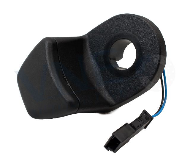2007-2012 BMW 328i Back Glass Release Switch (VNE)