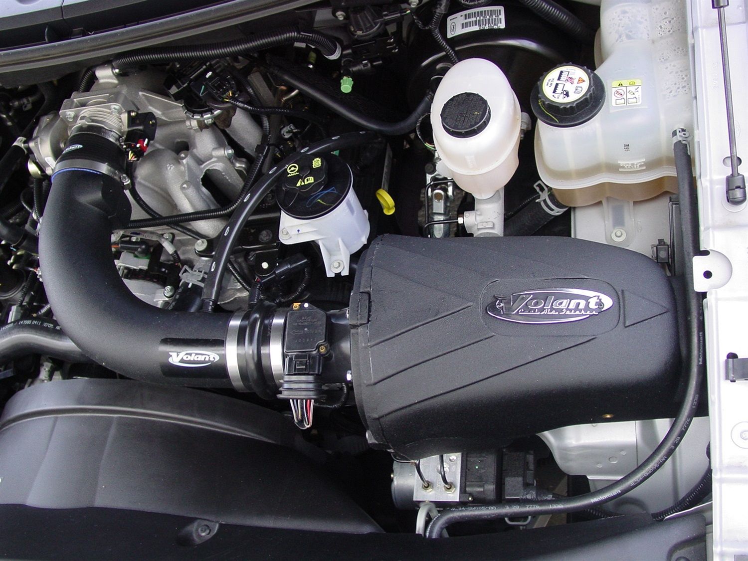 2004, 2003 Ford Expedition Air Intake Kit